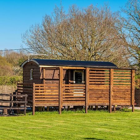 Hillside View Shepherds Hut - Ockeridge Rural Retreats Little Witley Exterior foto
